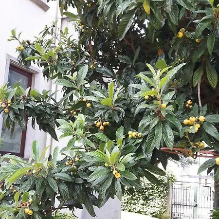 Casa Magnolia Apartamento Lido di Venezia